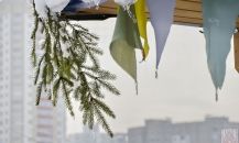 день-прихода-02.11.2018-21