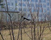 IMG_5860
