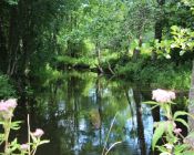 IMG_0413-_result
