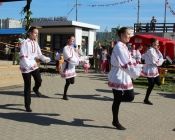 IMG_3951