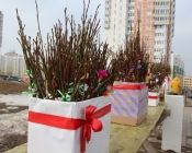 Вербное воскресенье - 2018